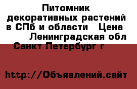 Питомник декоративных растений в СПб и области › Цена ­ 200 - Ленинградская обл., Санкт-Петербург г.  »    